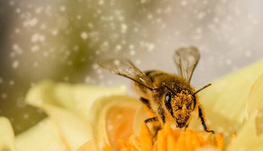 【2023年版】花粉症対策！症状緩和のための最新情報とクリニックでの治療法
